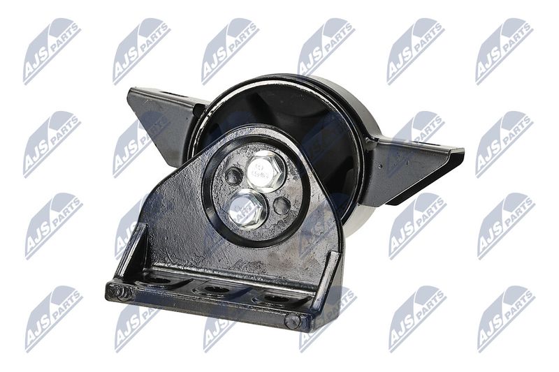 Paigutus, Mootor, NTY ZPS-DW-011