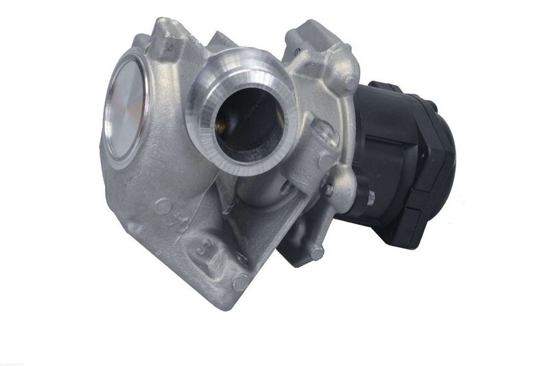 AUTOMEGA 140021410 ERG Valve