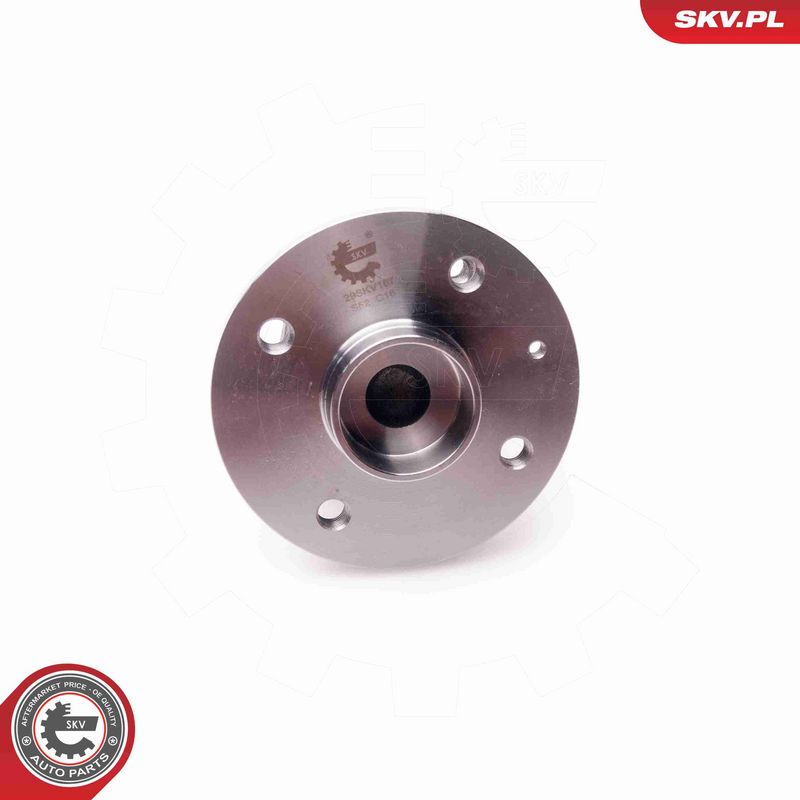 ESEN SKV 29SKV167 Wheel Bearing Kit