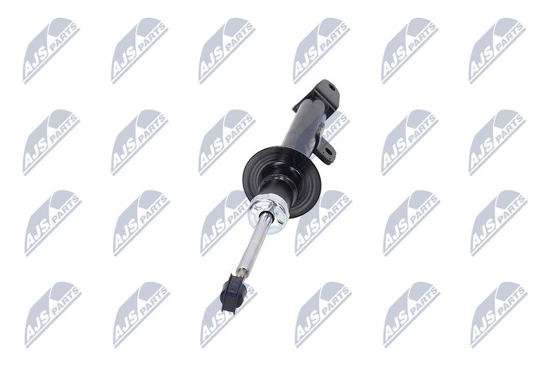 Amort, NTY A-CH-070