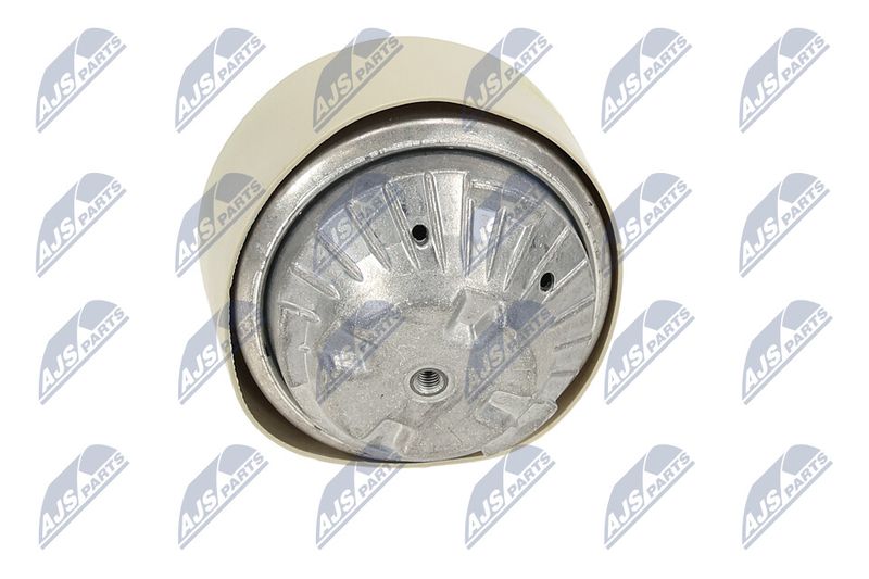 Paigutus, Mootor, NTY ZPS-ME-100