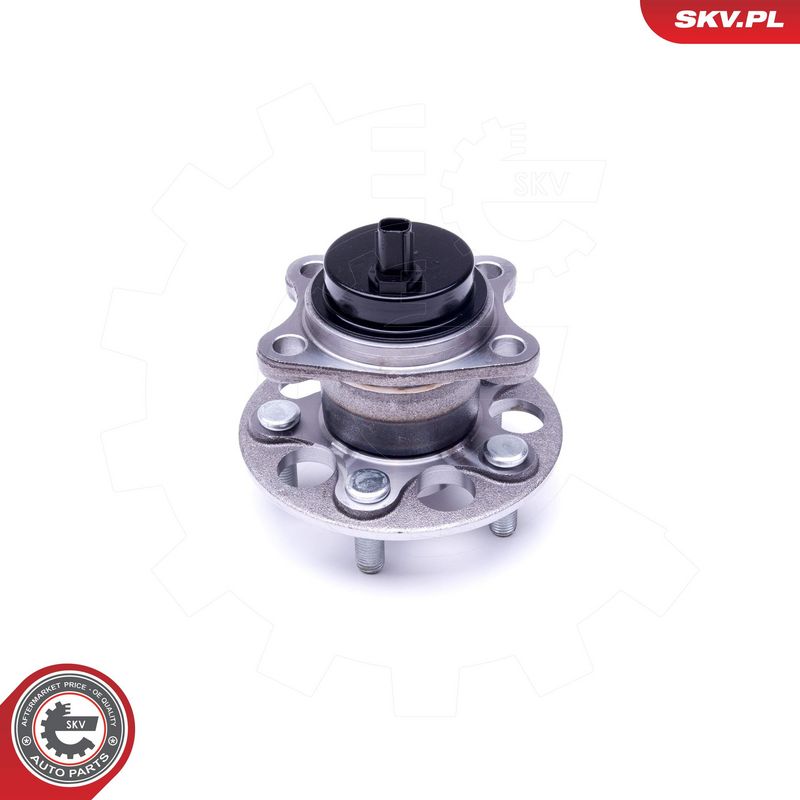 Rattalaagrikomplekt, ESEN SKV 29SKV289