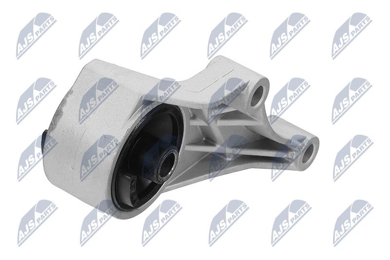 Paigutus, Mootor, NTY ZPS-PL-007