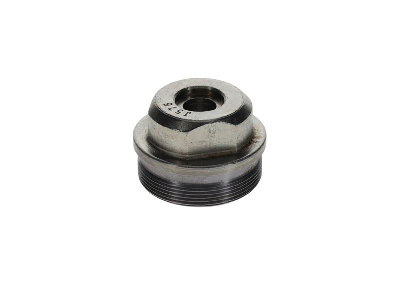 Surub F 002 D13 576 BOSCH