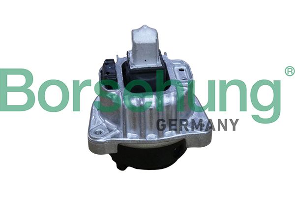 Borsehung B12911 Variklio pagalvė
