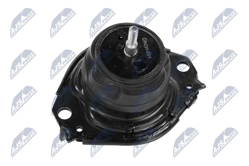 Paigutus, Mootor, NTY ZPS-CH-091