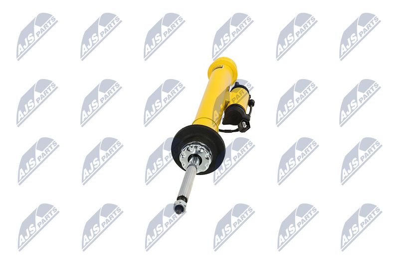 Amort, NTY A-CH-131