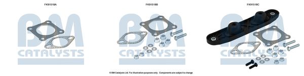 BM CATALYSTS szerelőkészlet, katalizátor FK91518