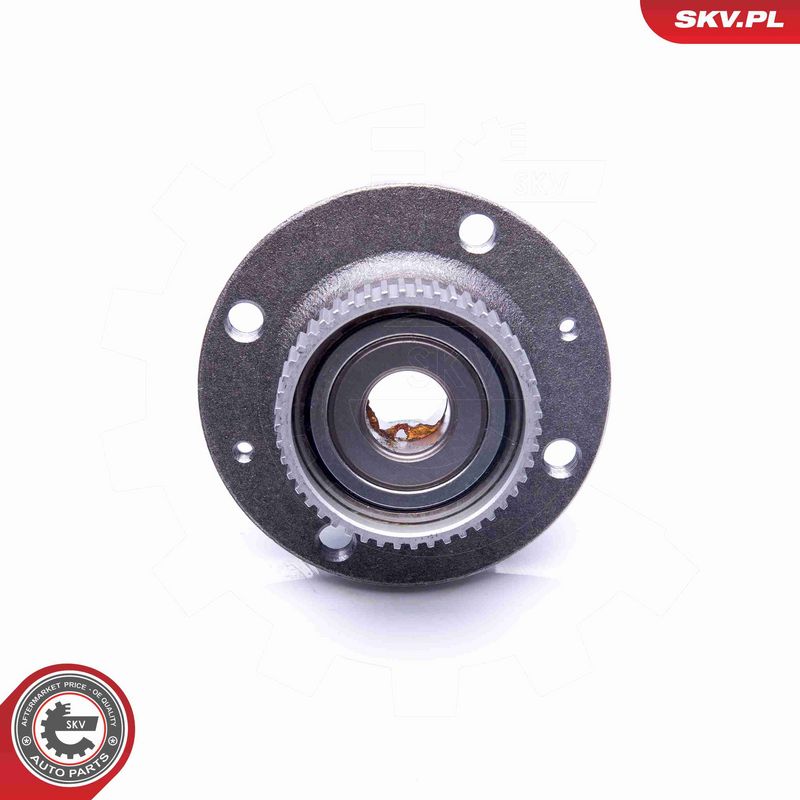 ESEN SKV 29SKV195 Wheel Bearing Kit