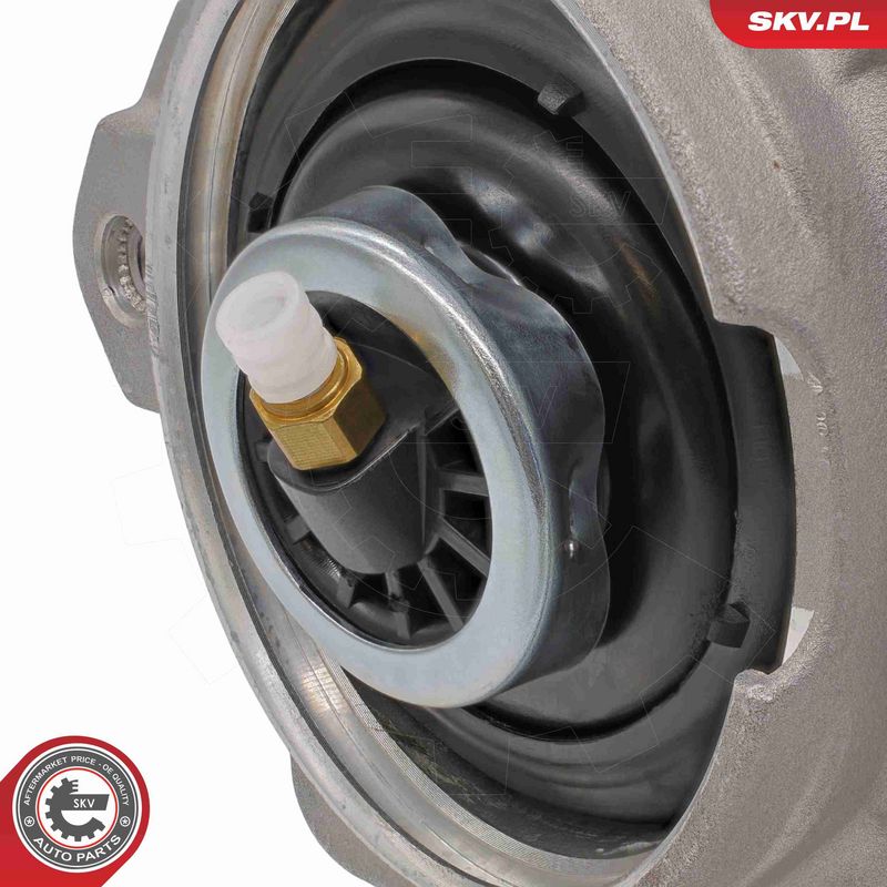ESEN SKV 58SKV095 Air Suspension Strut