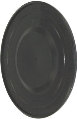 PT001.JPG