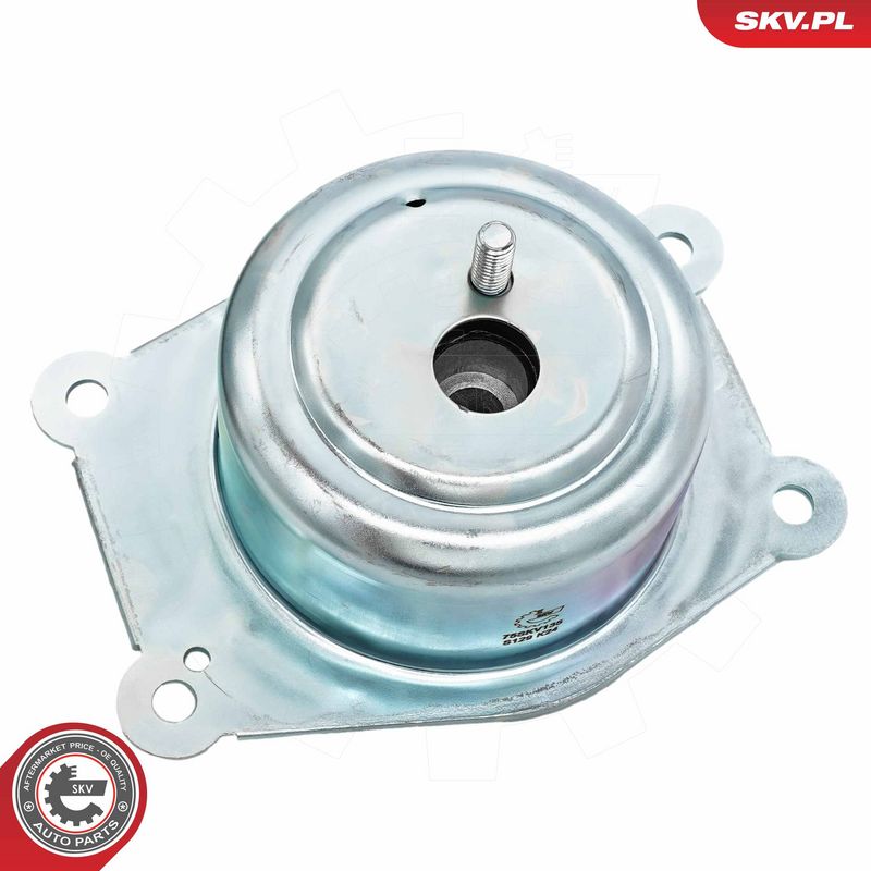 Paigutus, Mootor, ESEN SKV 75SKV135