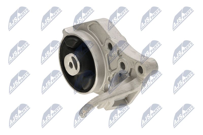 Paigutus, Mootor, NTY ZPS-CH-113