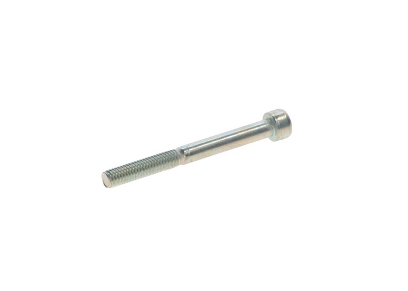 BOSCH 2469403076 Screw
