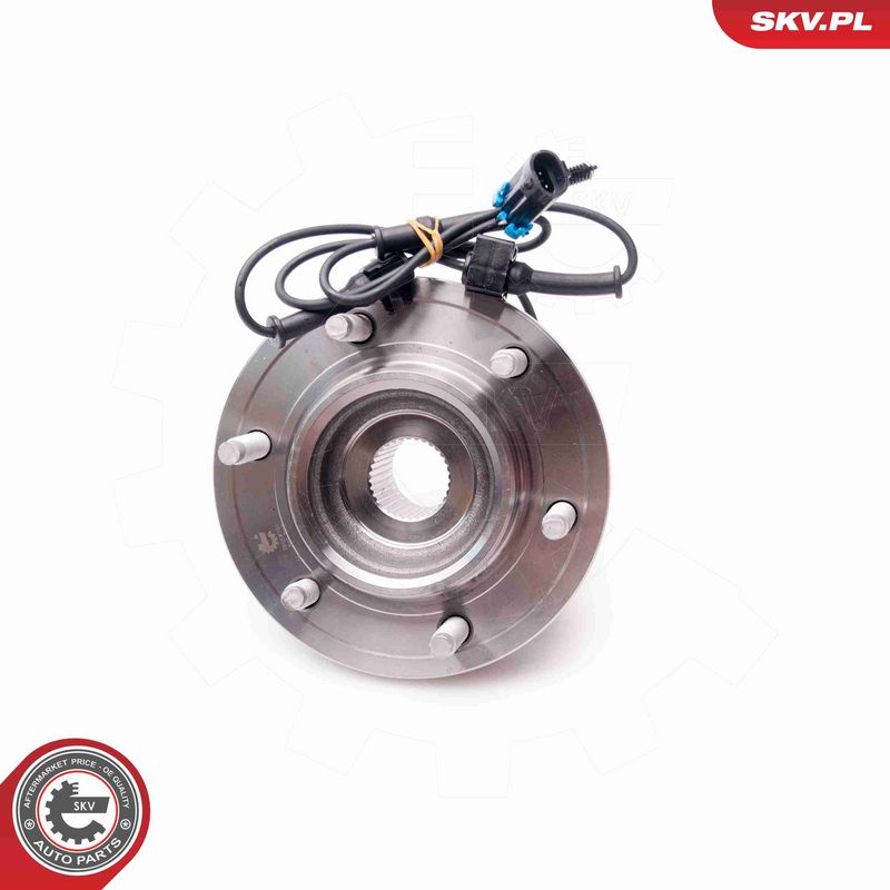 ESEN SKV 29SKV163 Wheel Bearing Kit