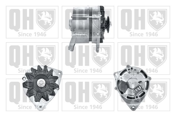 QH_QRA2431_GRUPPE.JPG