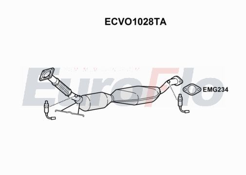 ecvo1028ta.JPG