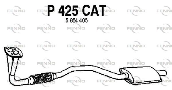 P425CAT.JPG