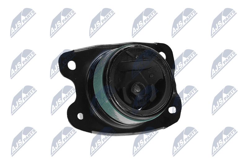 Paigutus, Mootor, NTY ZPS-CH-147