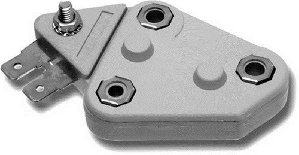 DDF_AMP0206_WR.JPG