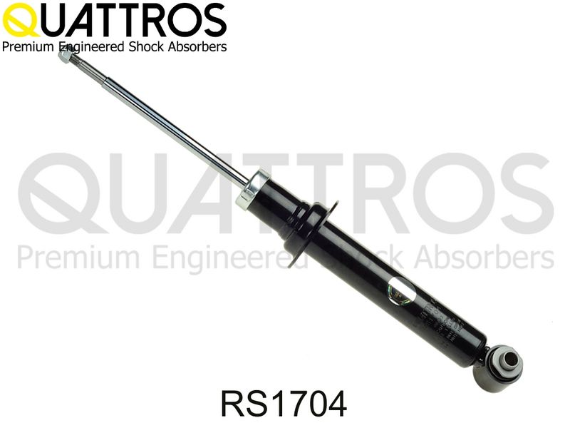 rs1704.JPG