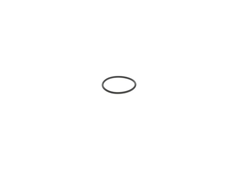 BOSCH F00C1T6908 Rubber Ring