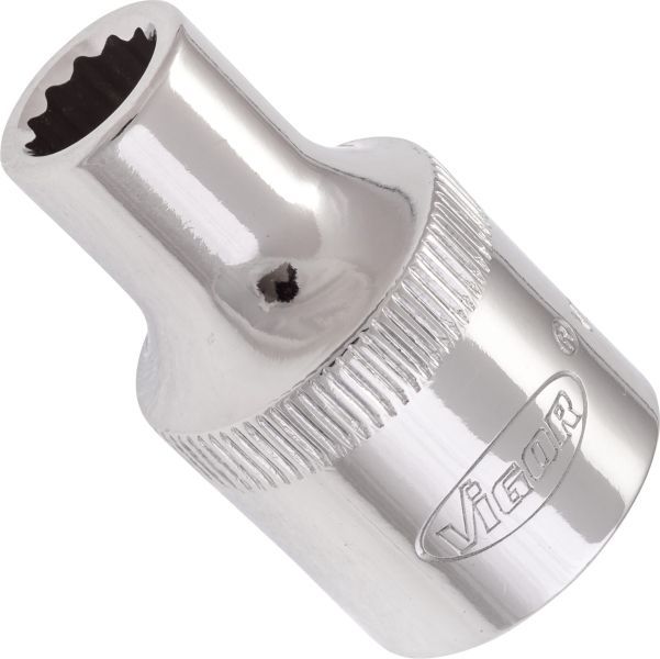 Padrun, VIGOR V7512-8