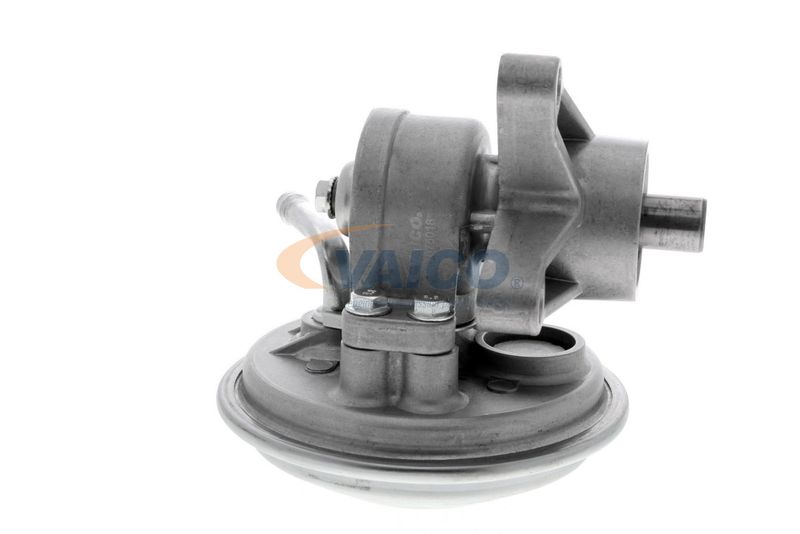 VAICO V25-1907 Mounting, engine