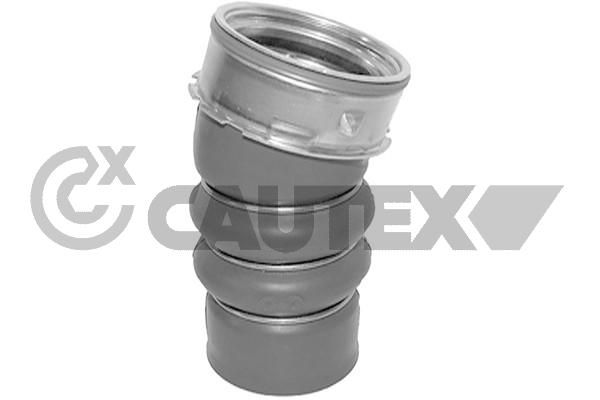 CAUTEX 754469 - Charge Air Hose