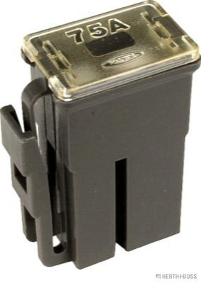50295474.JPG