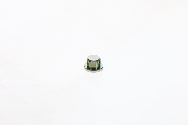 Surub F 002 D13 566 BOSCH