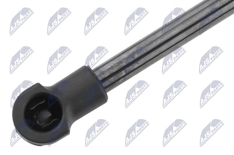 NTY AE-SU-003 Gas Spring, boot/cargo area
