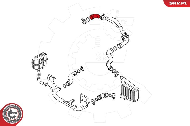 Шланг подачі наддувального повітря, Skv Germany 24SKV029