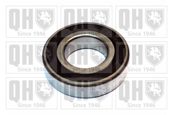 QH_XB9941.JPG
