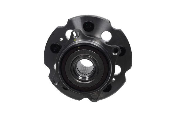 Kavo Parts Rato guolio komplektas