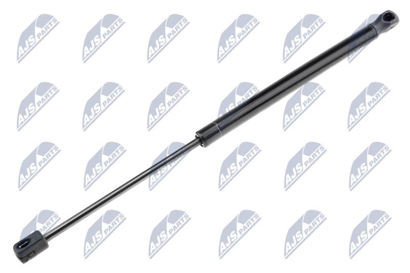 NTY AE-CH-036 Gas Spring, boot/cargo area