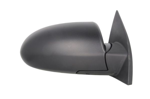 BLIC 5402-20-2001358P Exterior Mirror