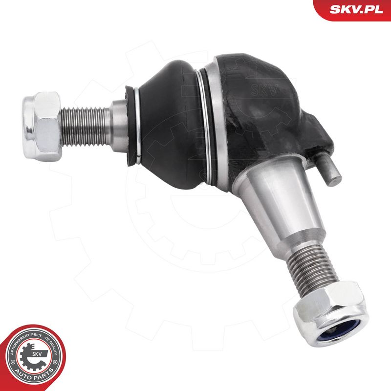 Kande-, juhtliigend, ESEN...