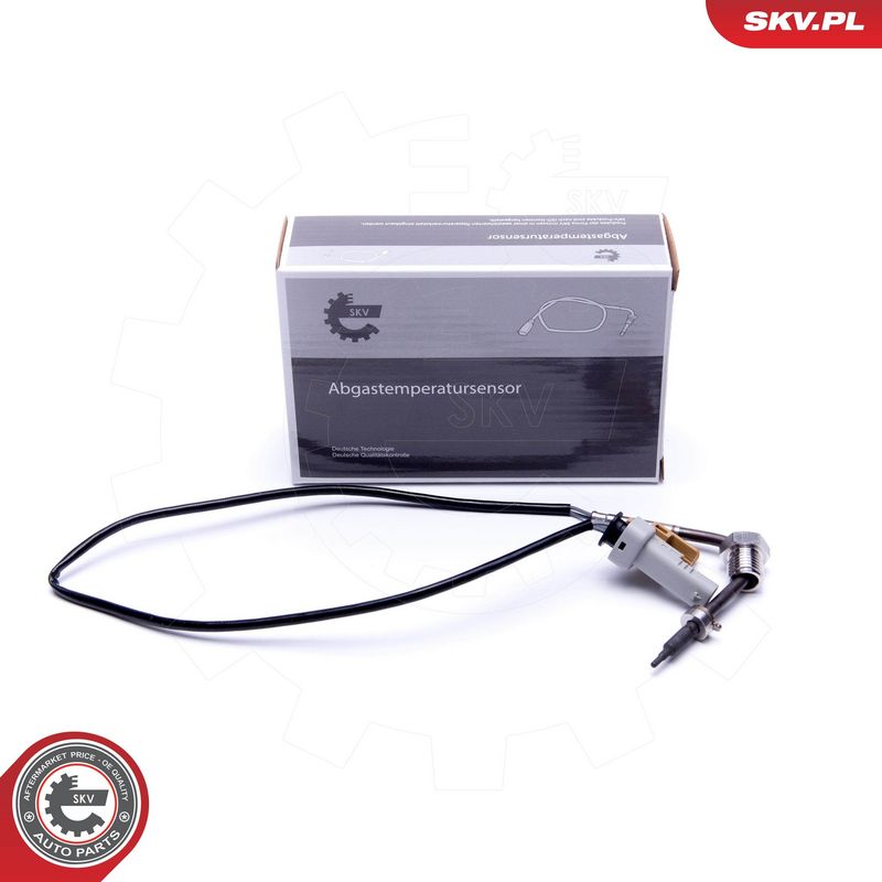 Andur, heitgaasitemperatuur, ESEN SKV 30SKV439