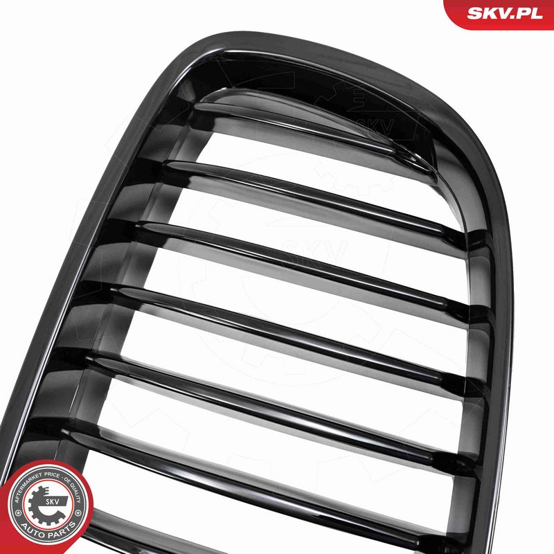 ESEN SKV 66SKV176 Radiator Grille