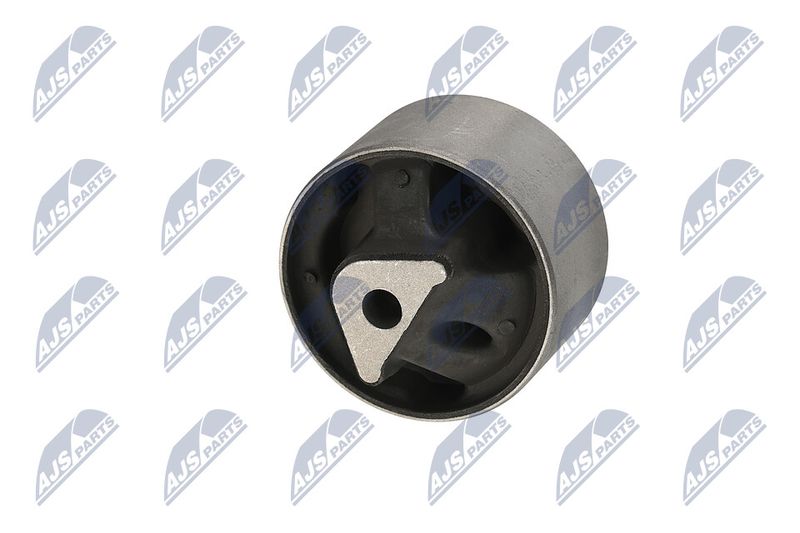 Paigutus, Mootor, NTY ZPS-CH-040