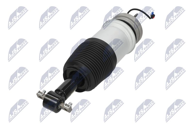 Amort, NTY A-CH-098