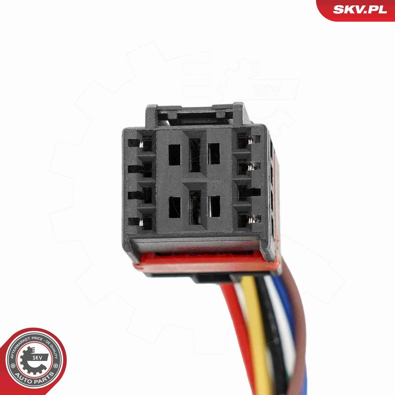ESEN SKV 52SKV205 Electric Motor, tailgate