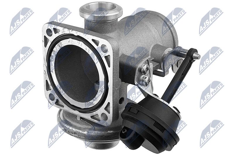 egr-vw-062_2-wm.JPG