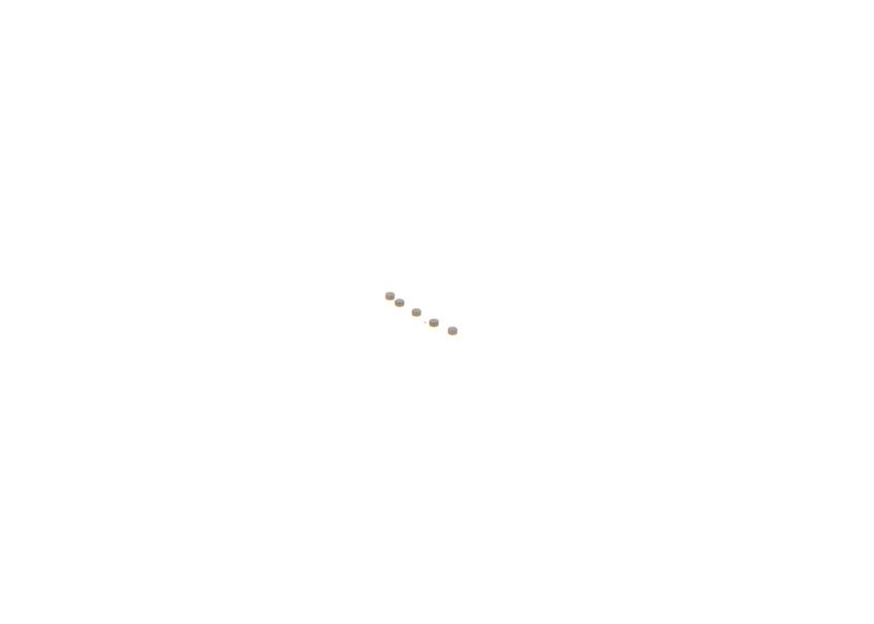 BOSCH F00ZC99736 Repair Kit, common rail system