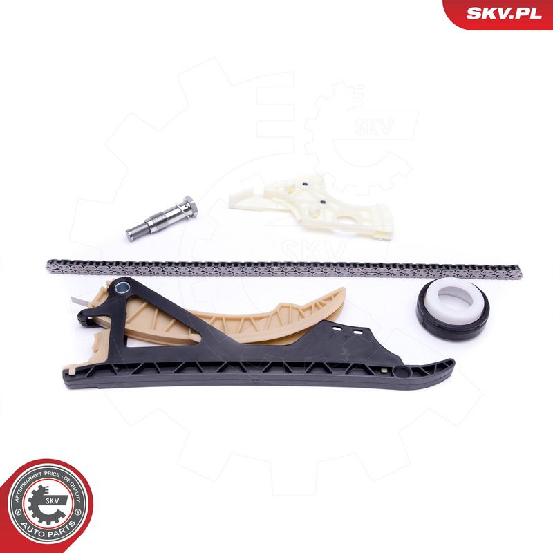 Mootori keti komplekt, ESEN SKV 21SKV169