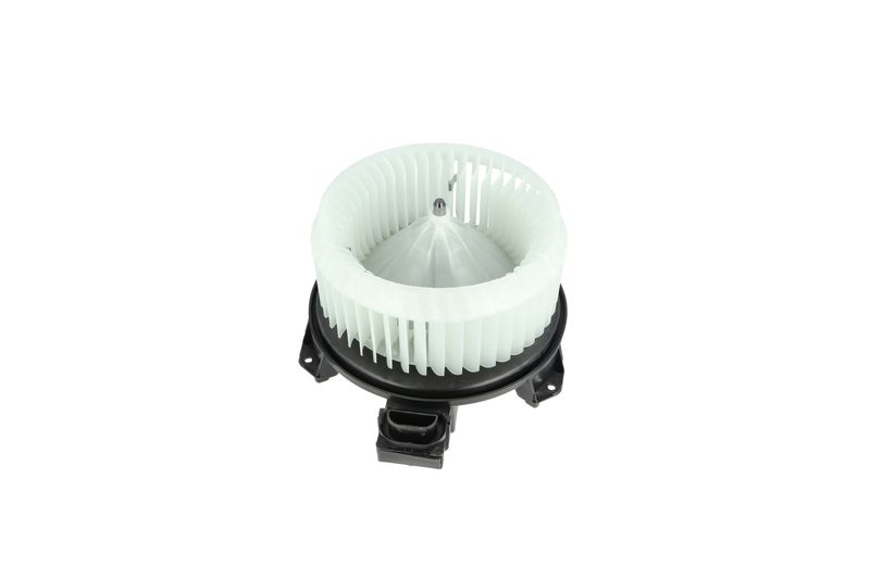 Salongipuhur, NRF 34244