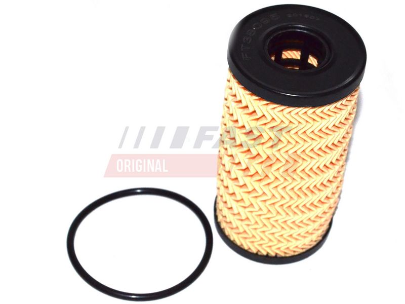 FAST FT38095 - Alyvos filtras