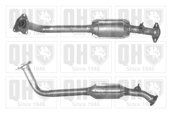 QH_QCAT91025H.JPG