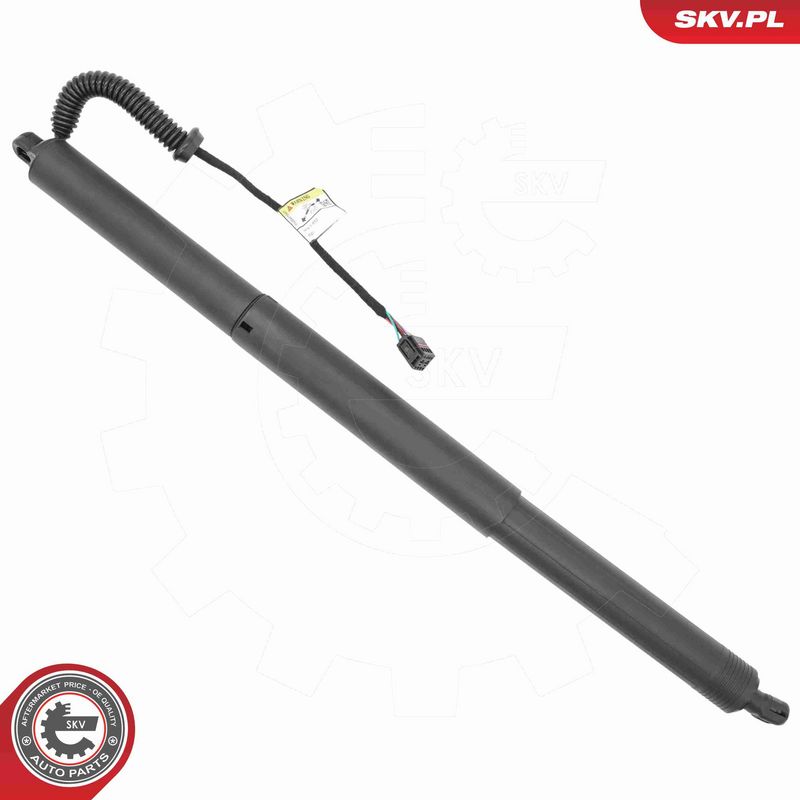 ESEN SKV 52SKV237 Electric Motor, tailgate